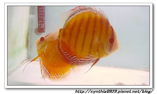照片 016.jpg