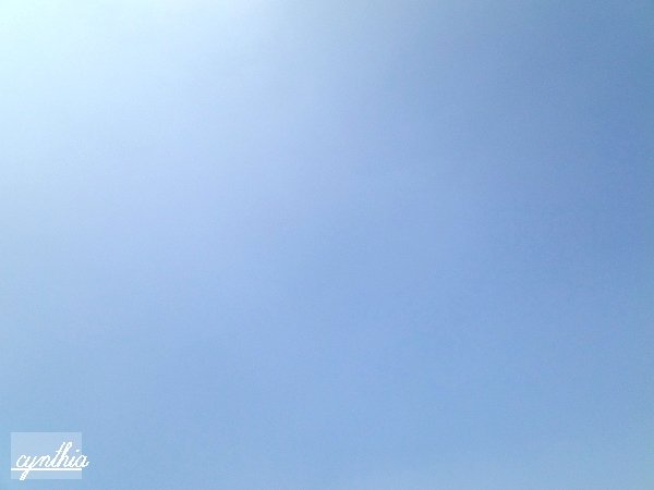 照片 001.jpg