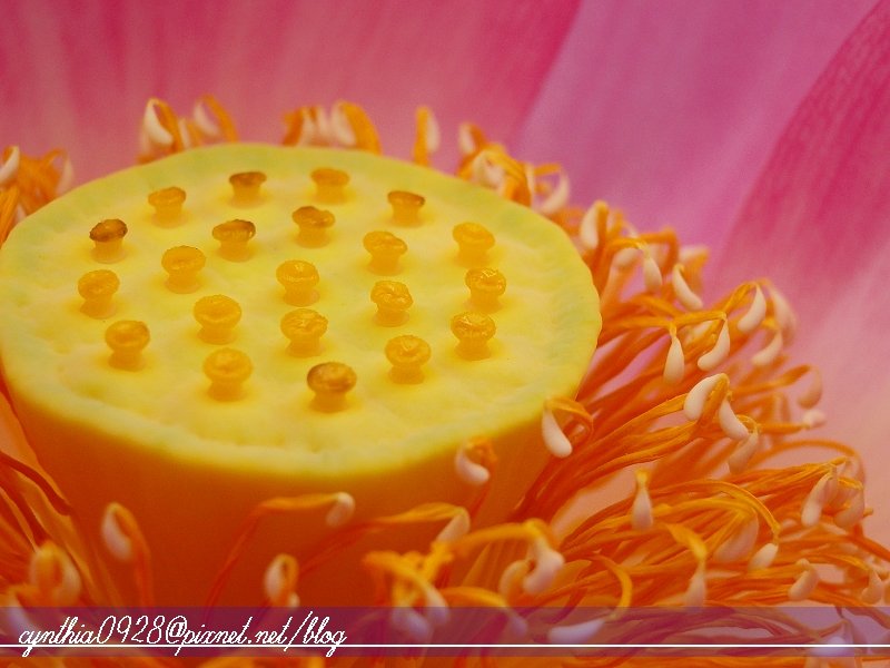 照片 112.jpg