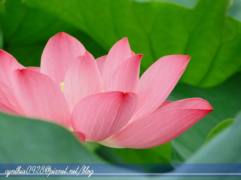 照片 156.jpg