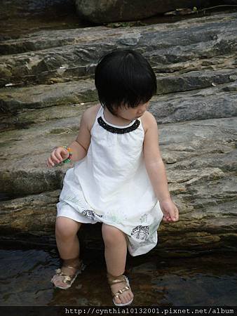 20110702-北海岸56.jpg