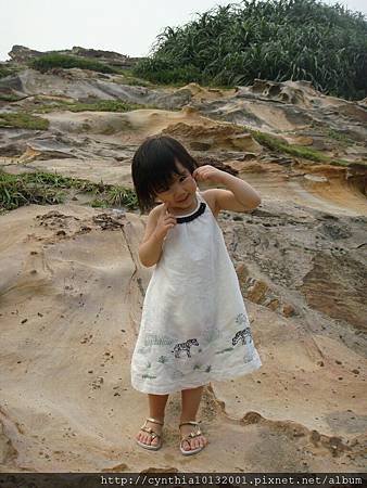 20110702-北海岸59.jpg