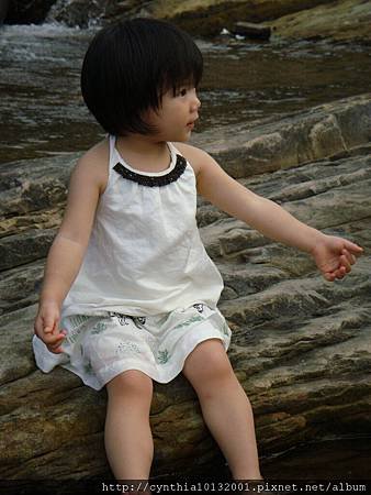 20110702-北海岸78.jpg