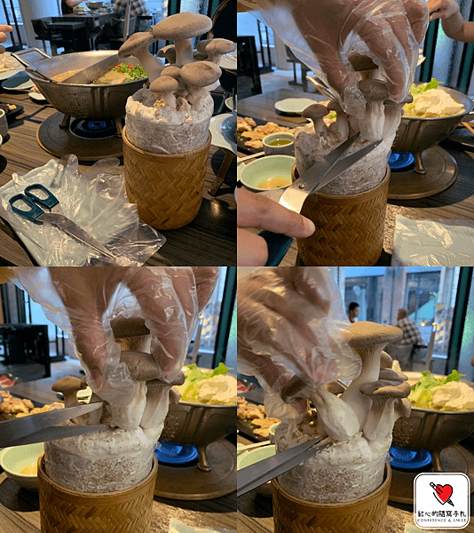 青花驕｜中山北店｜溫室手摘菇.png