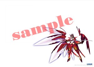 IS新版簽名版18.5x26.5cm_內