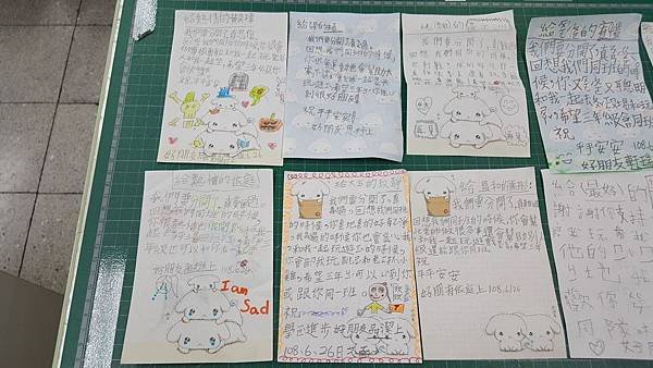 20190626_113242.jpg