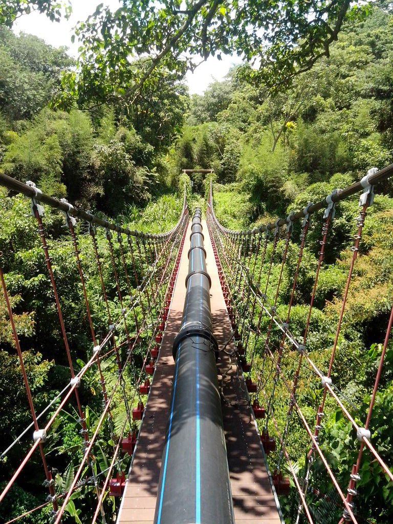 白冷圳過水吊橋(新社)