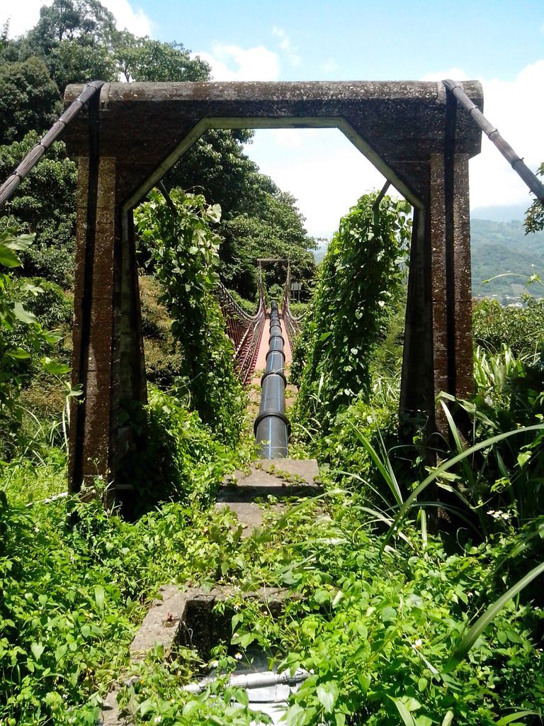 白冷圳過水吊橋(新社)