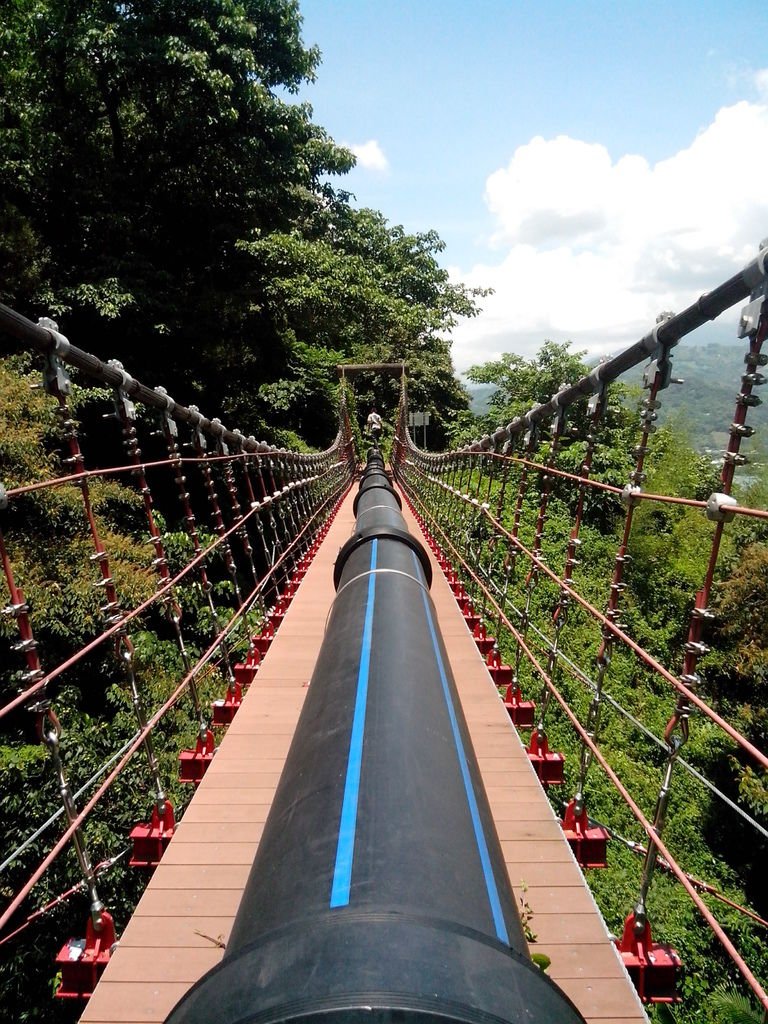 白冷圳過水吊橋(新社)