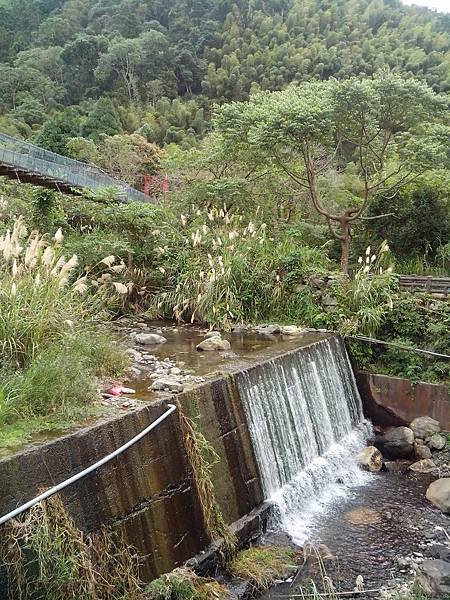 大雪山吊橋 流瀑