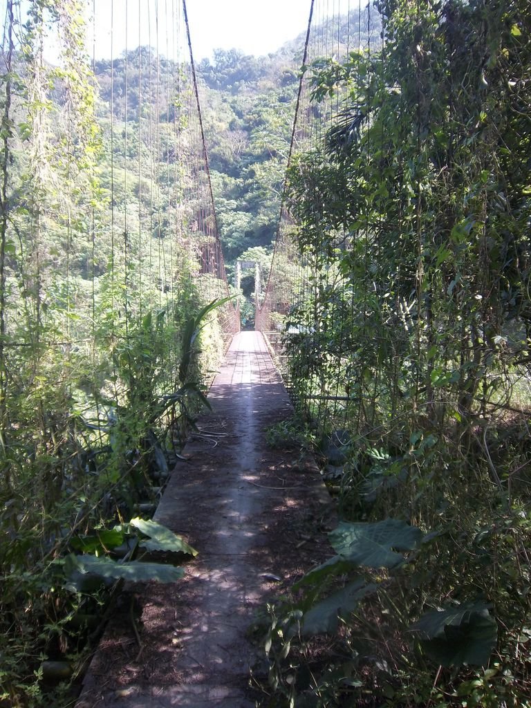 霧瓦娜吊橋（茂林里）