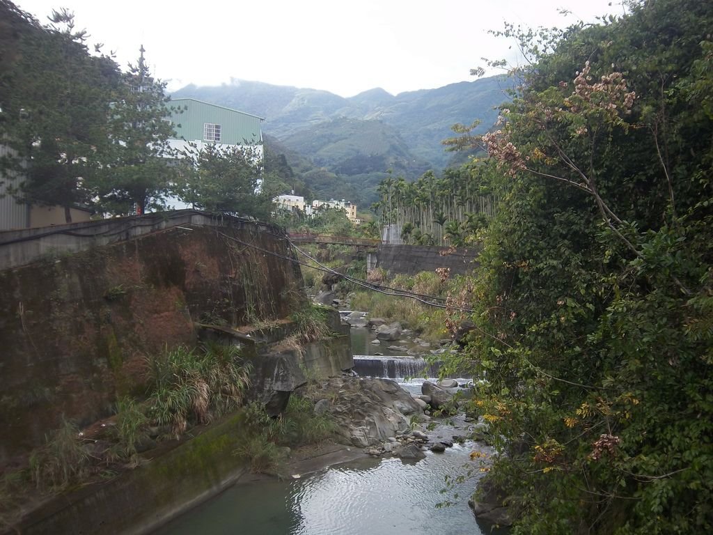 自愛橋遠看洽坑溪吊橋