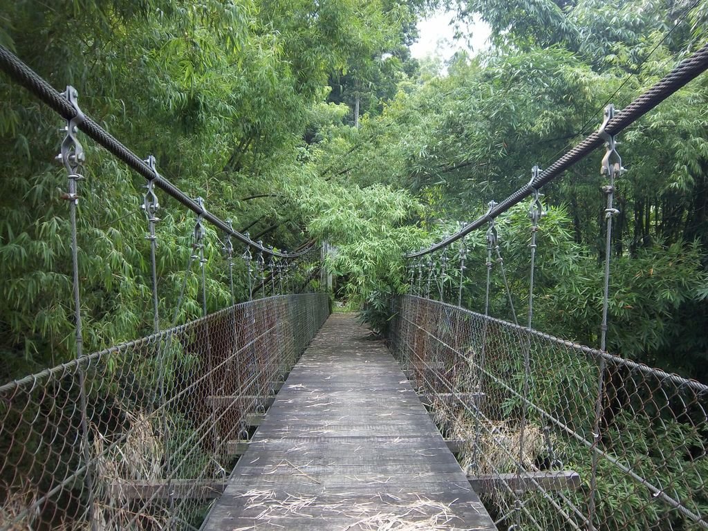 行投吊橋（中寮）