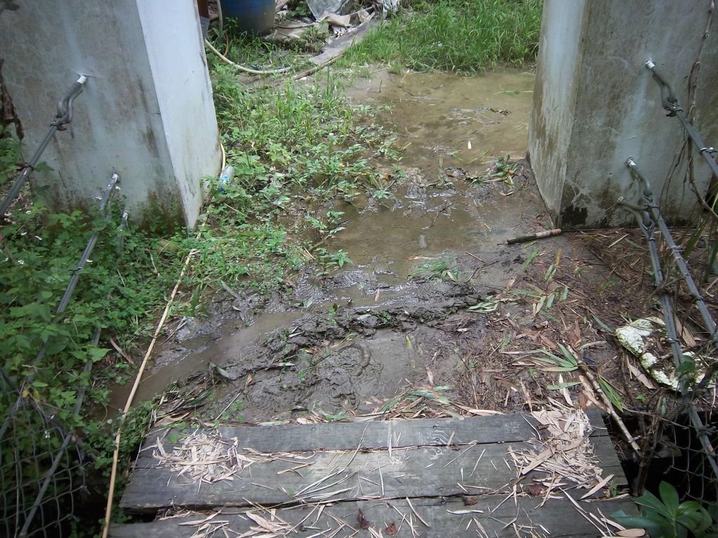 行投吊橋 雨後泥濘