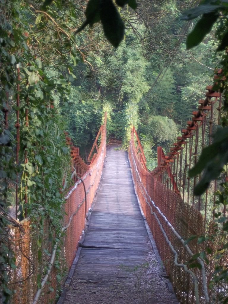 裡冷吊橋（和平）