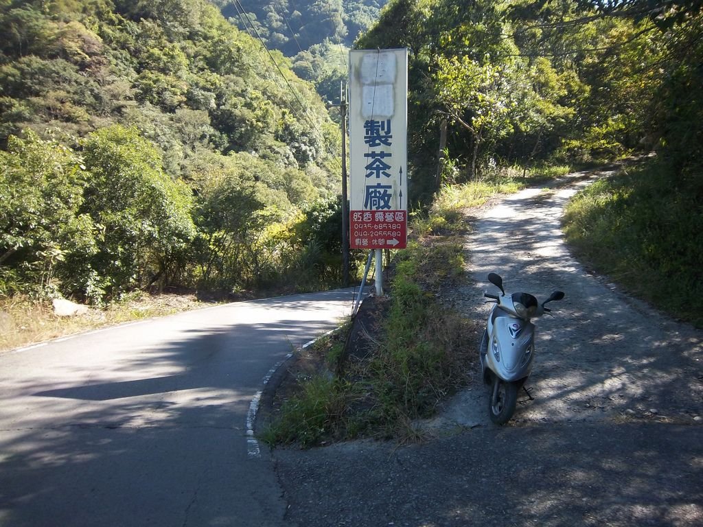 紅香露營區岔路