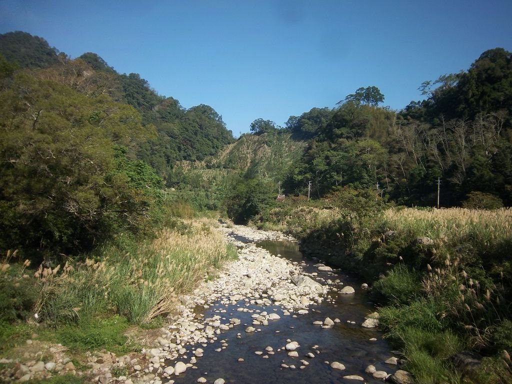 和平吊橋 橋下清澈溪流