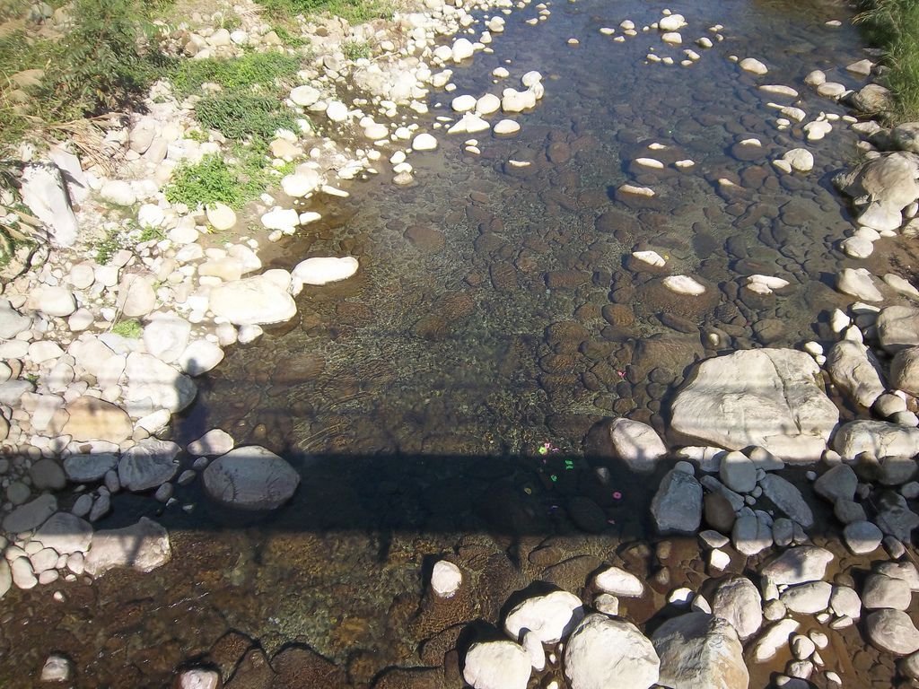 和平吊橋 橋下清澈溪流