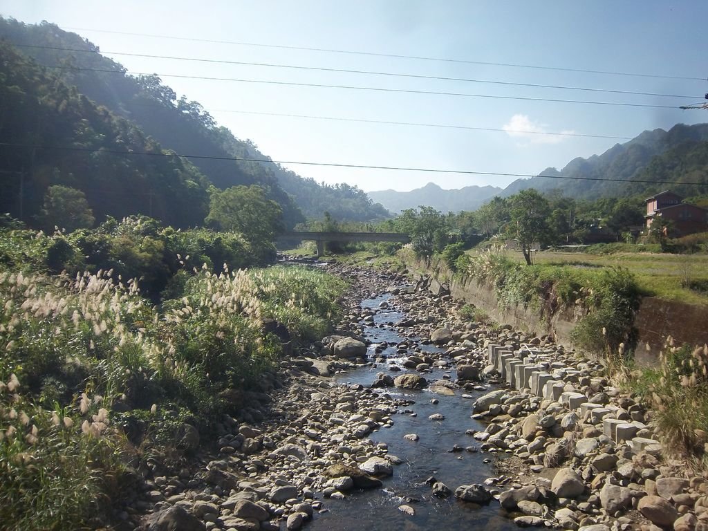 和平吊橋 橋下清澈溪流