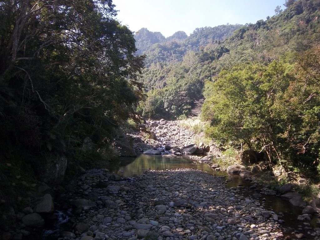 永安吊橋下 蓬萊溪(南河)