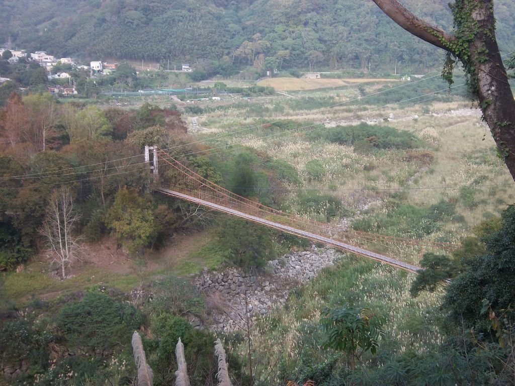 虎山吊橋（泰安）