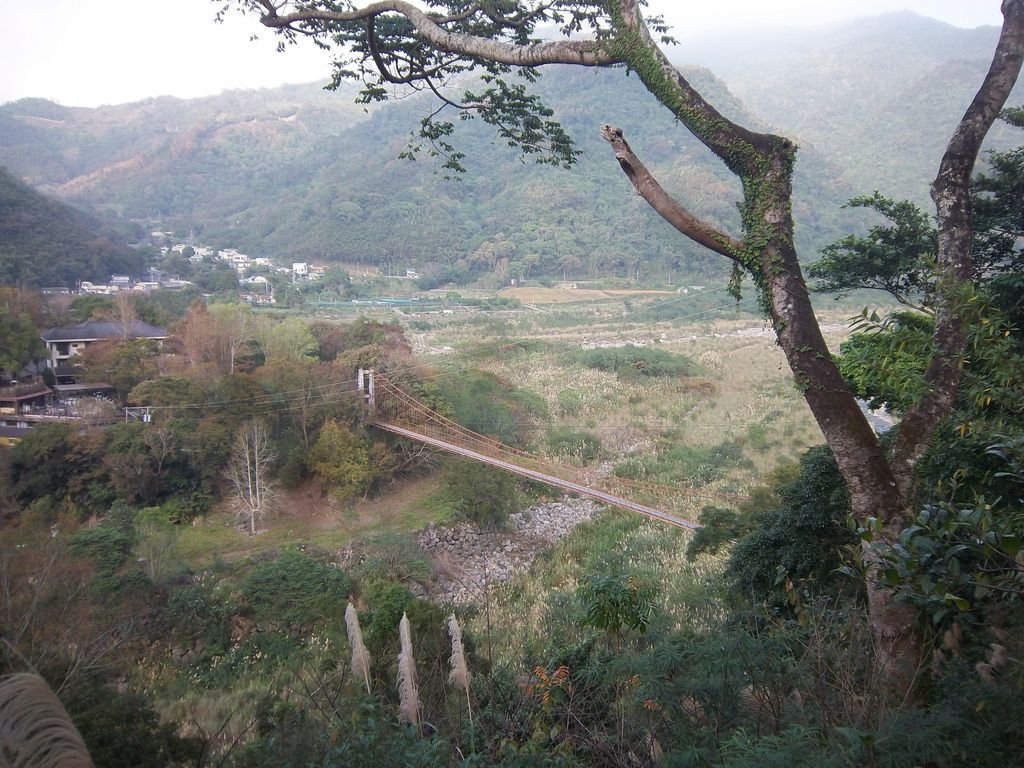 虎山吊橋（泰安）