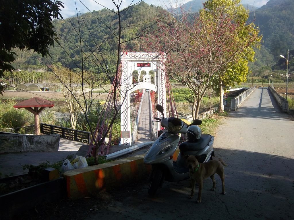 武界吊橋（法治村）