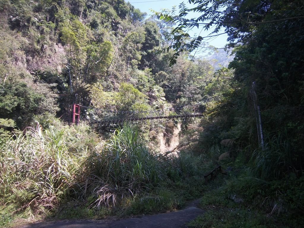 同心吊橋（古坑）