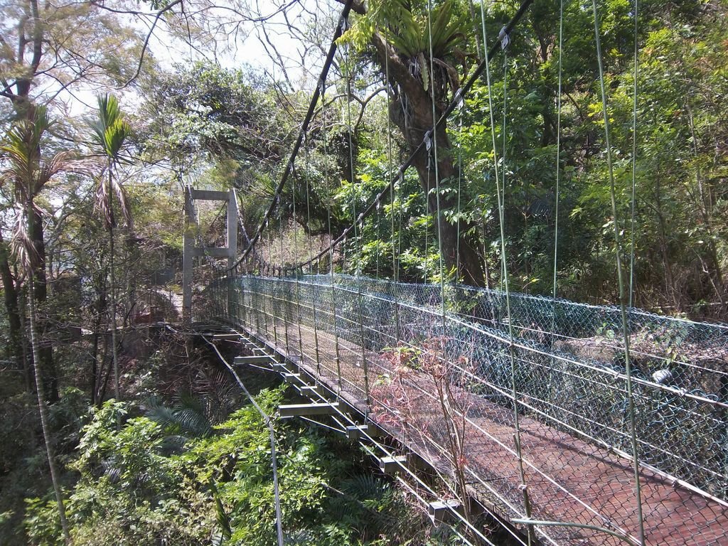 蓬萊吊橋（古坑）