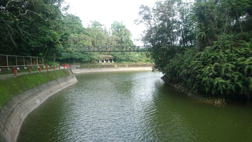 山龍坑吊橋（魚池）