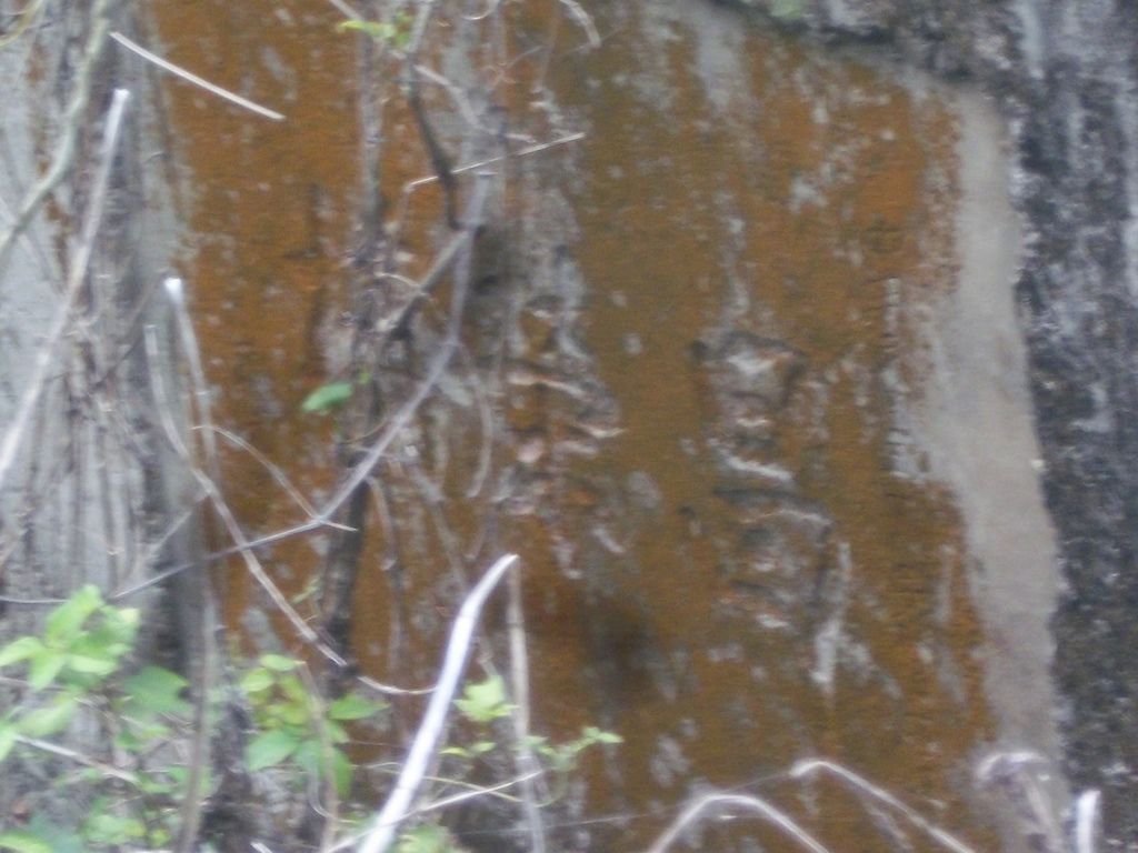 昌榮吊橋遺跡（國姓）