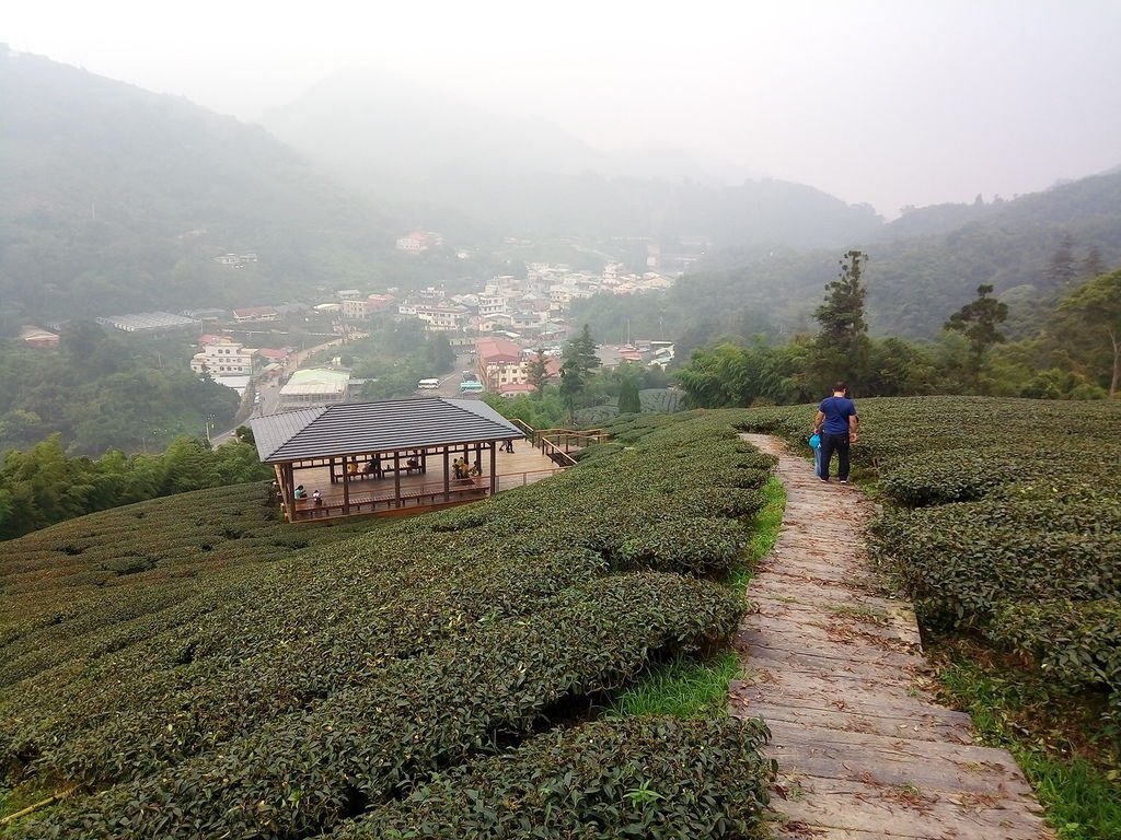 雲之南道步道