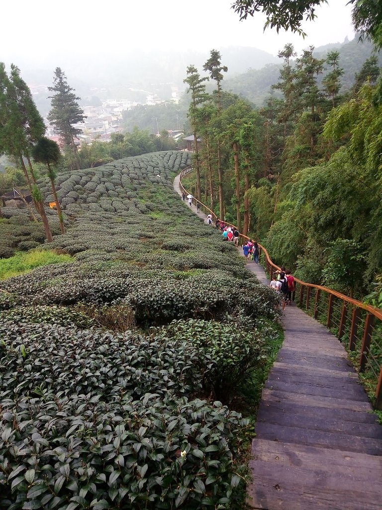 雲之南道步道