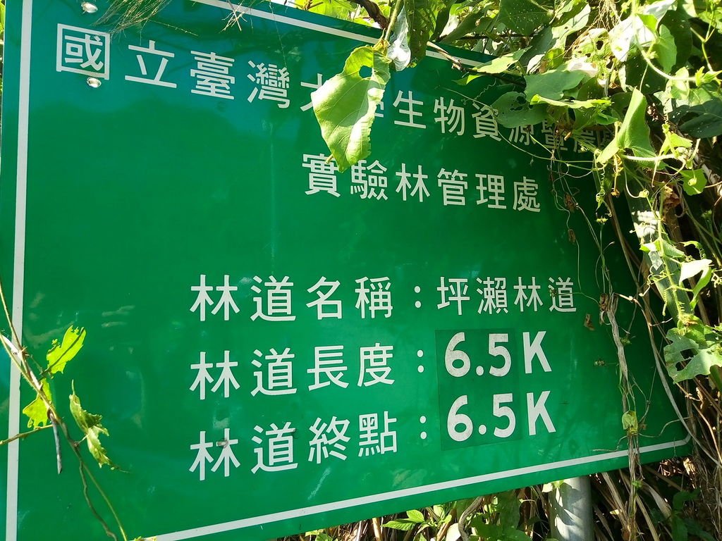 坪瀨林道6.5K