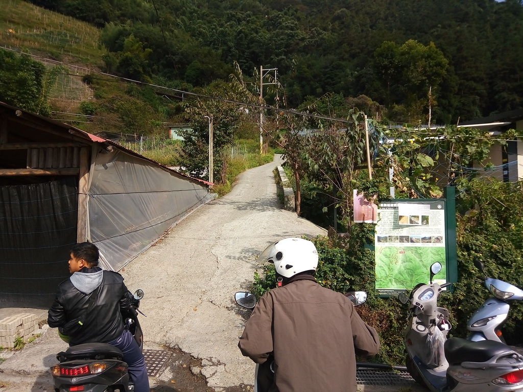 東埔一鄰登山口