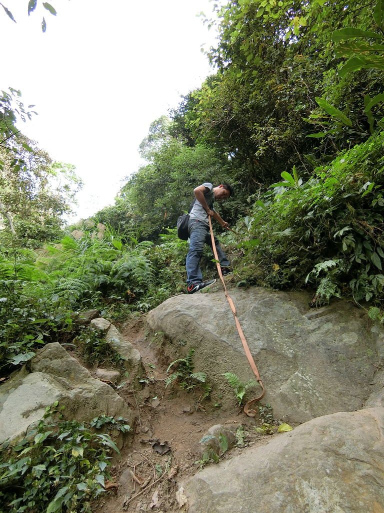 行豐吊橋後步道