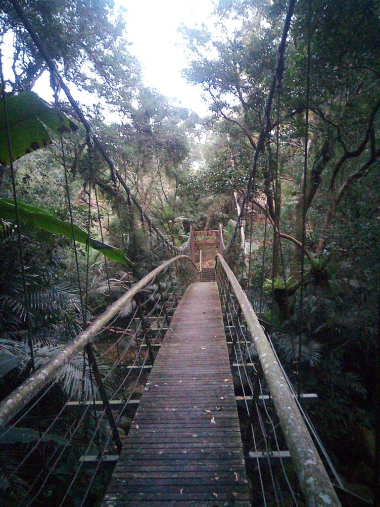 拉拉吾雅吊橋（樂野村）