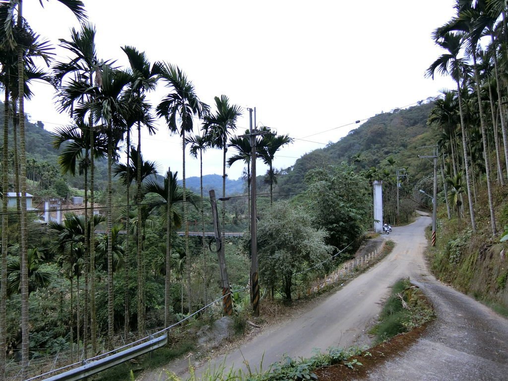 三叉坑吊橋（和平）