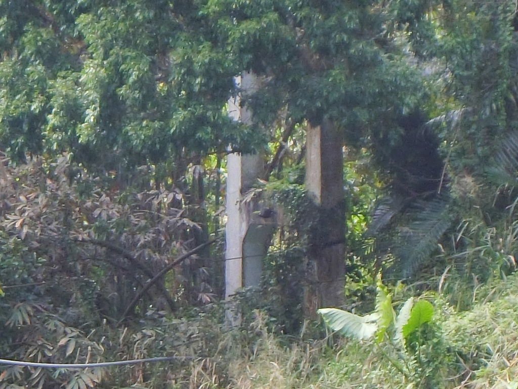 善美吊橋 遺跡（山美村）