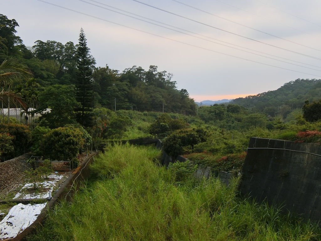 民興巷保線吊橋（北屯）