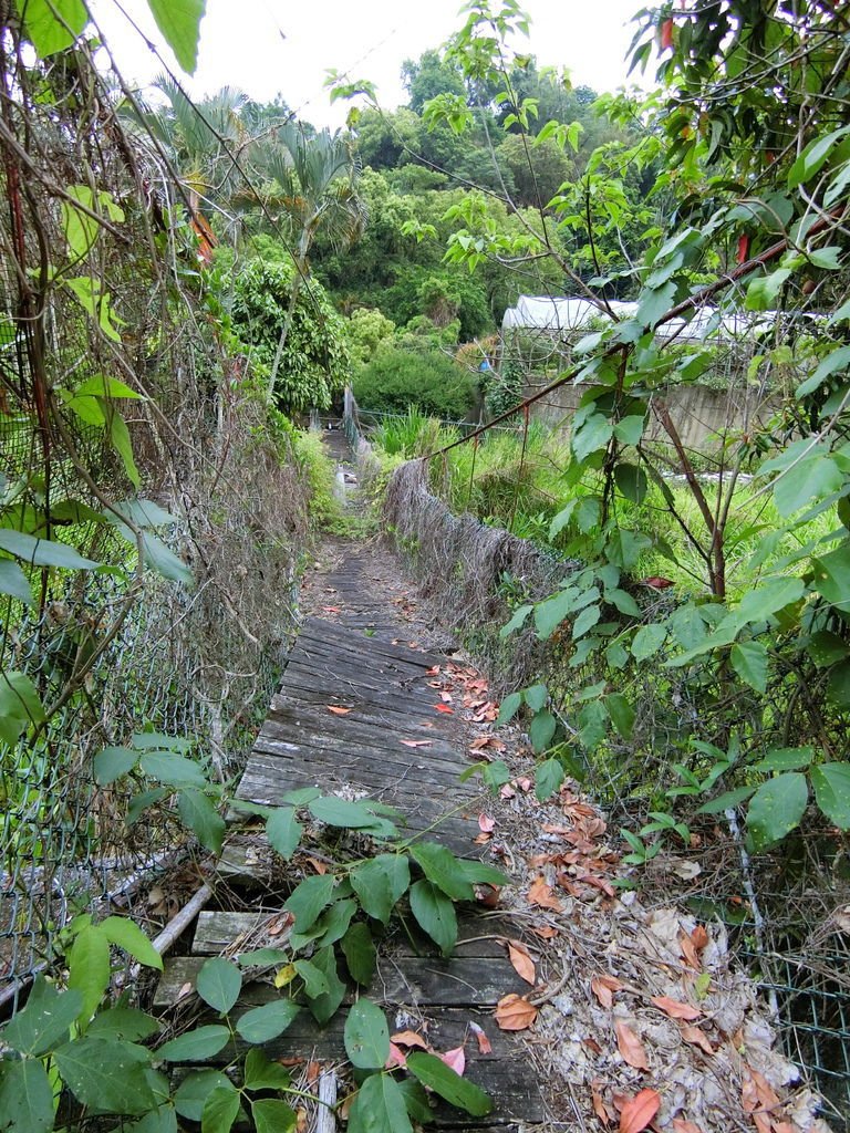 民興巷保線吊橋（北屯）