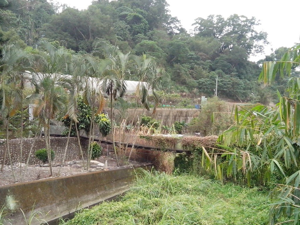 民興巷保線吊橋（北屯）