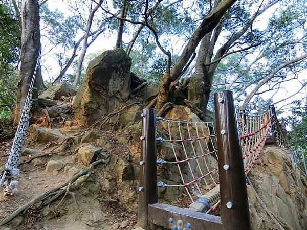 大坑六號步道繩索吊橋（北屯）