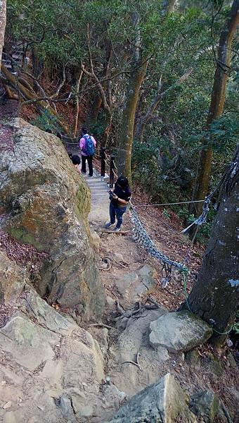 大坑六號步道繩索吊橋（北屯）