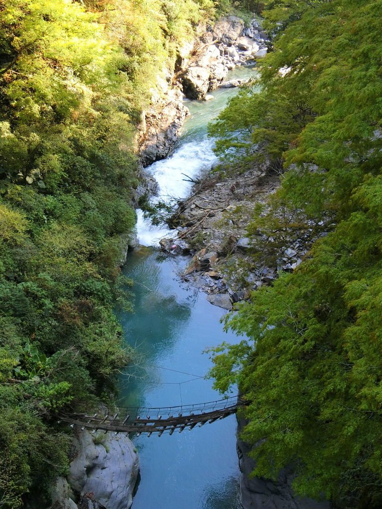 廢棄舊吊橋／合作靜觀四號？（合作村）