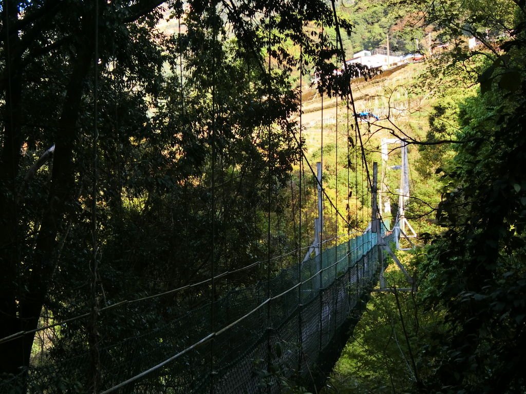 平生吊橋／靜觀一號吊橋（合作村）