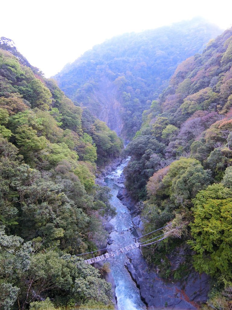 平和吊橋下舊吊橋