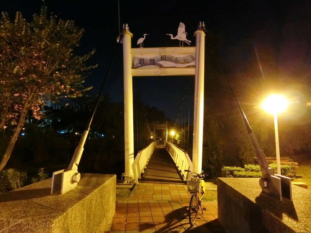 鷺鷥橋夜晚