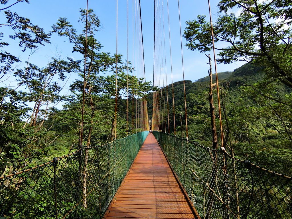 瑞龍吊橋（竹山）