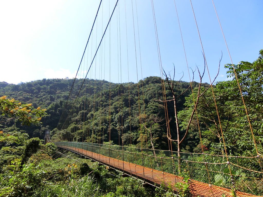 瑞龍吊橋（竹山）